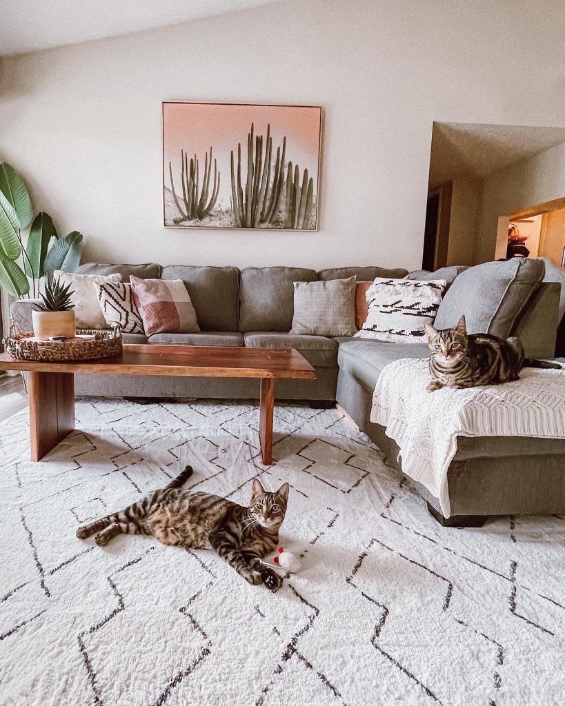 best rugs for pets in living room