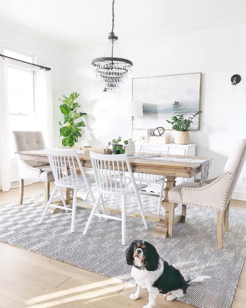 durable best rugs for pets in dining room