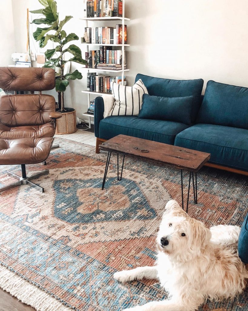The Best Rugs For Pets Everything You, Best Rugs For Living Room With Dogs