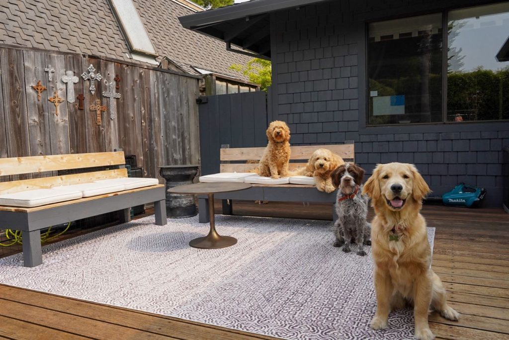 A synthetic material, polyester makes rugs durable and even appropriate for outdoors and pets. 