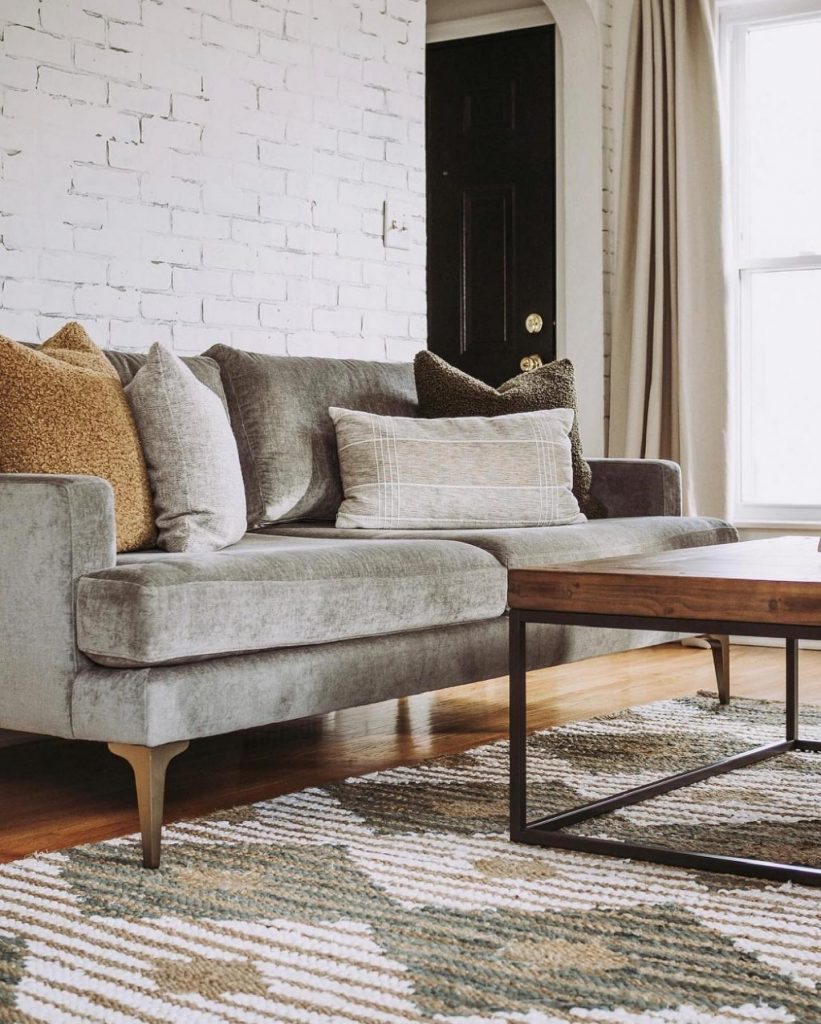 rug for light gray velvet couch