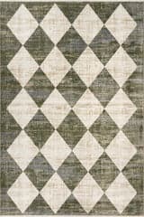 Isolated view of Green Rectangle Vanni Checkered Fringed Rug, showcasing its design