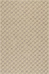 Isolated view of   Beryn Modern Checkered Rug, showcasing its design