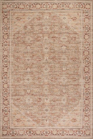 Isolated view of Beige Rectangle Ankhe Traditional Bordered Rug, showcasing its design