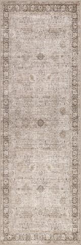 Isolated view of Sand Runner Bayberry Spill Proof Vintage Washable Rug, showcasing its design