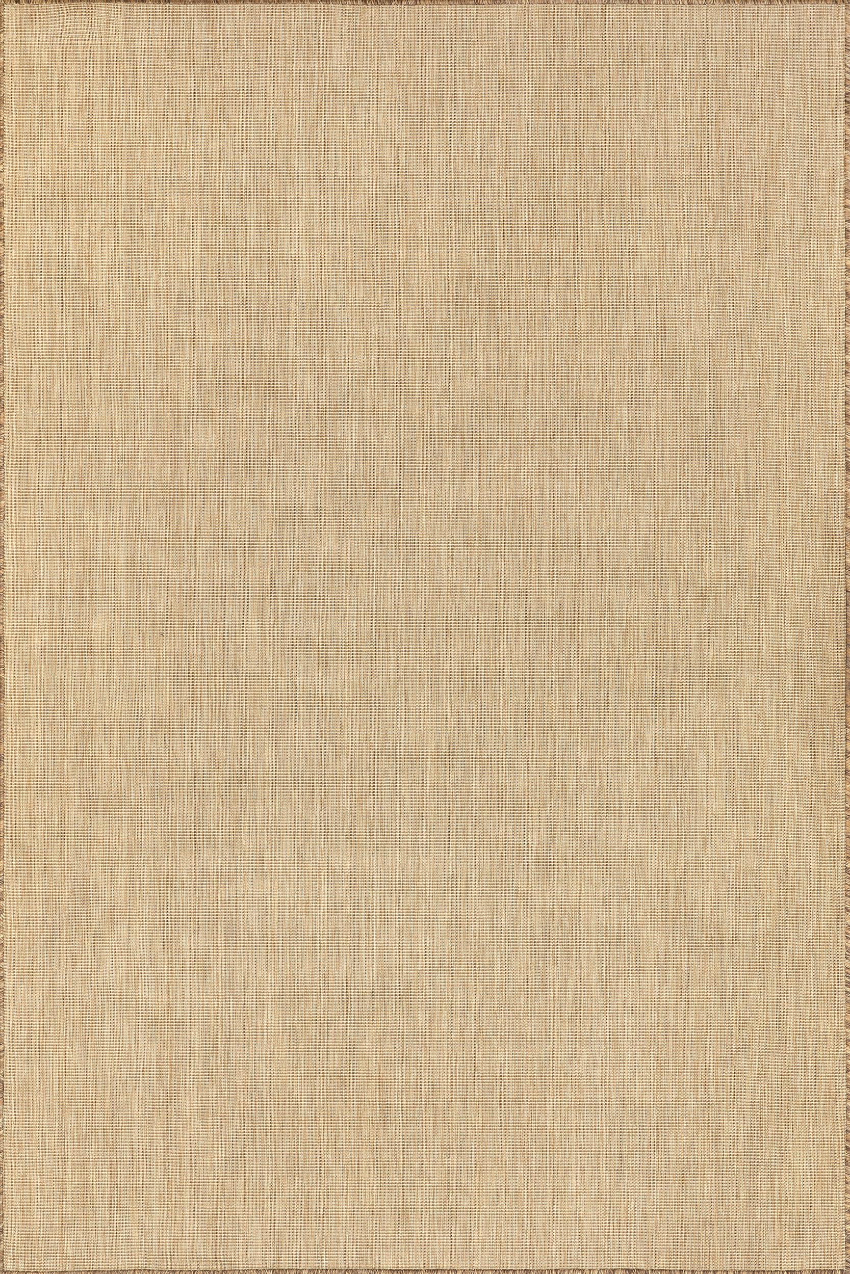 Dorinda Hazy Solid Indoor/Outdoor Rug | Brown (9'6 x 12)