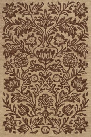 Isolated view of Brown Rectangle Ayloh Transitional Floral and Paisley Rug, showcasing its design