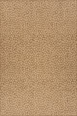 Isolated view of Brown Rectangle Lindra Modern Animal Print Indoor/Outdoor Rug, showcasing its design