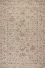 Isolated view of Beige Rectangle Tiye Traditional Floral & Paisley Rug, showcasing its design