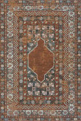 Isolated view of Brown Runner Liamara Traditional Medallion Indoor/Outdoor Rug, showcasing its design