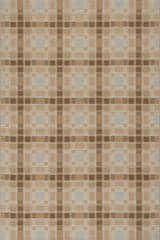 Mesael Modern Plaid Indoor/Outdoor Rug | Tan