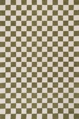 Isolated view of Green Rectangle Calina Modern Checkered Indoor Wool Rug, showcasing its design