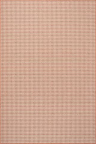 Tirzah Modern Indoor/Outdoor Rug | Coral