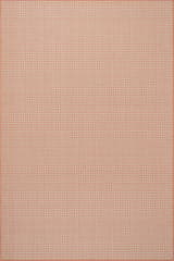 Tirzah Modern Indoor/Outdoor Rug | Coral