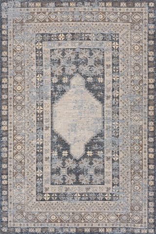 Isolated view of Grey Runner Liamara Traditional Medallion Indoor/Outdoor Rug, showcasing its design