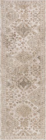 Isolated view of Taupe Runner Adah Vintage Rug, showcasing its design