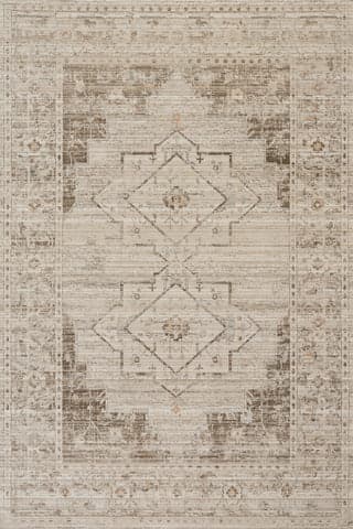 Isolated view of Brown Rectangle Zelly Medallion Washable Indoor/Outdoor Rug, showcasing its design