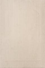 Isolated view of Cream Rectangle Tiera Bordered Plush Textured Washable Rug, showcasing its design