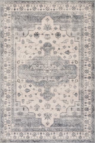 Isolated view of Light Grey Rectangle Francis Cartouche Medallion Spill Proof Washable Rug, showcasing its design
