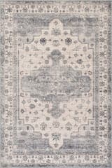 Isolated view of Light Grey Rectangle Francis Cartouche Medallion Spill Proof Washable Rug, showcasing its design