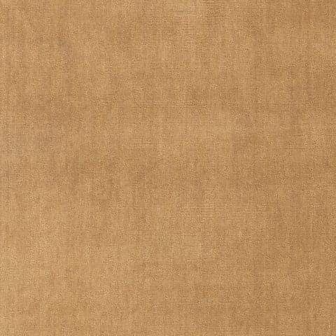Taniea Modern Tan Rug Swatch | Tan
