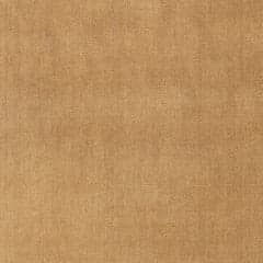 Taniea Modern Tan Rug Swatch | Tan