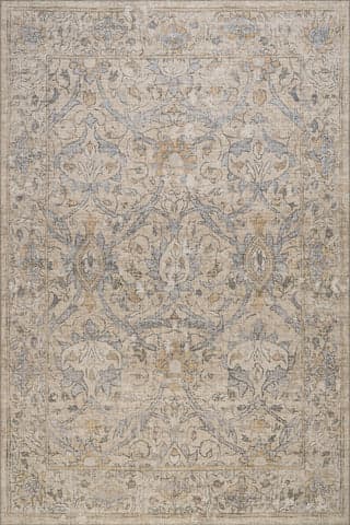 Isolated view of Beige Rectangle Zahlay Transitional Floral and Paisley Rug, showcasing its design