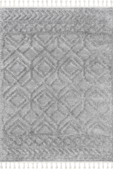 Isolated view of Light Grey Rectangle Ramira Raised Trellis Rug, showcasing its design