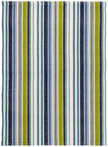 Pond Stripe Handwoven Indoor/Outdoor Rug | Multi