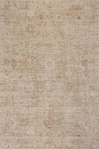 Isolated view of Beige Rectangle Alda Traditional Abstract Rug, showcasing its design