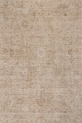 Isolated view of Beige Rectangle Alda Traditional Abstract Rug, showcasing its design