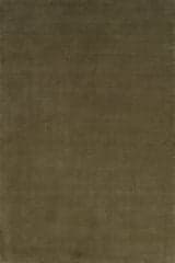 Isolated view of Green Rectangle Ranya Modern Solid Rug, showcasing its design