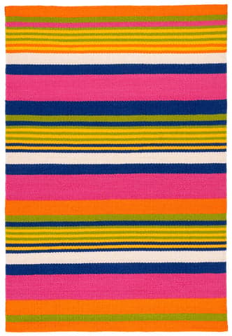 Sunny Stripe Handwoven Indoor/Outdoor Rug | Multi