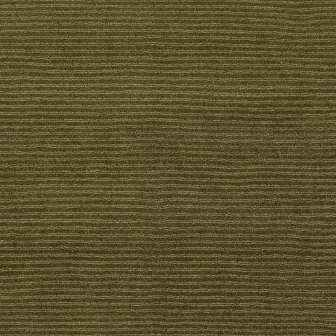 Sanami Striped Bohemian Rug Swatch | Verdant Green