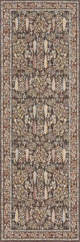 Isolated view of Brown Runner Caeslyn Traditional Floral Indoor/Outdoor Rug, showcasing its design