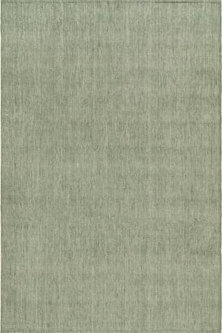 Isolated view of Green Rectangle Alira Solid Rug, showcasing its design
