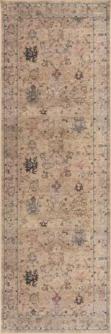 Isolated view of Beige Runner Ilysera Traditional Bordered Washable Rug, showcasing its design
