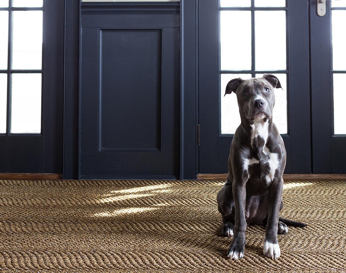 Rug Frame Image