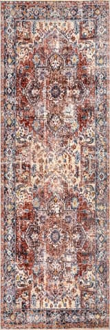 Isolated view of Rust Runner Timeworn Charm Rug, showcasing its design