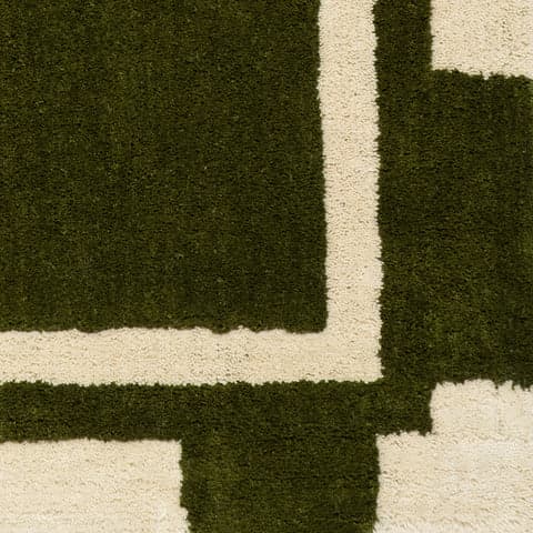 Isolated view of Green Swatch Orlina Bordered Rug, showcasing its design