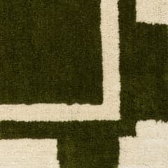 Isolated view of Green Swatch Orlina Bordered Rug, showcasing its design