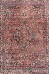 Isolated view of Red Rectangle Faza Traditional Medallion Washable Rug, showcasing its design