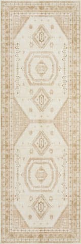 Isolated view of Natural Runner Hanice Oriental and Persian Washable Rug, showcasing its design