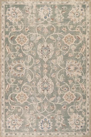 Isolated view of Green Rectangle Xavena Floral & Paisley Transitional Rug, showcasing its design