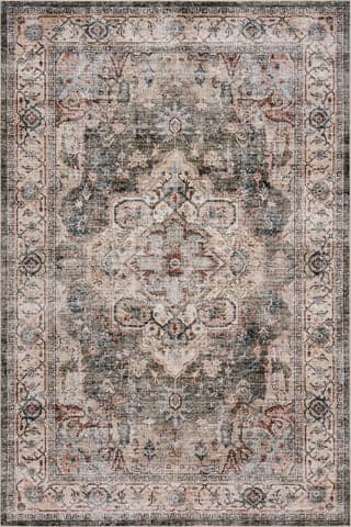 Isolated view of Brown Rectangle Erica Oriental and Persian Washable Rug, showcasing its design
