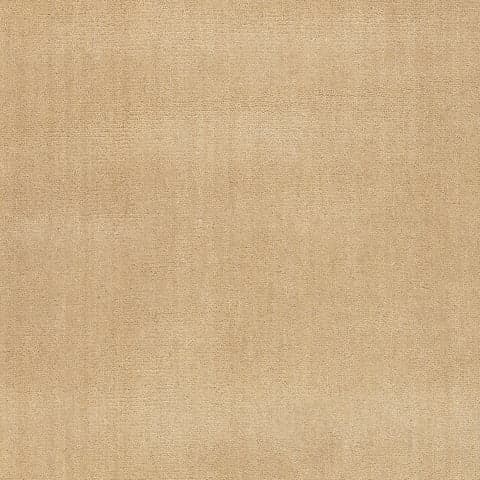 Iania Modern Solid Rug Swatch | Ivory