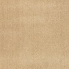Iania Modern Solid Rug Swatch | Ivory