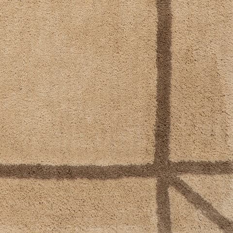 Isolated view of Sand Swatch Sivra Bordered Rug, showcasing its design